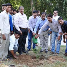 Central Station publicity photo
